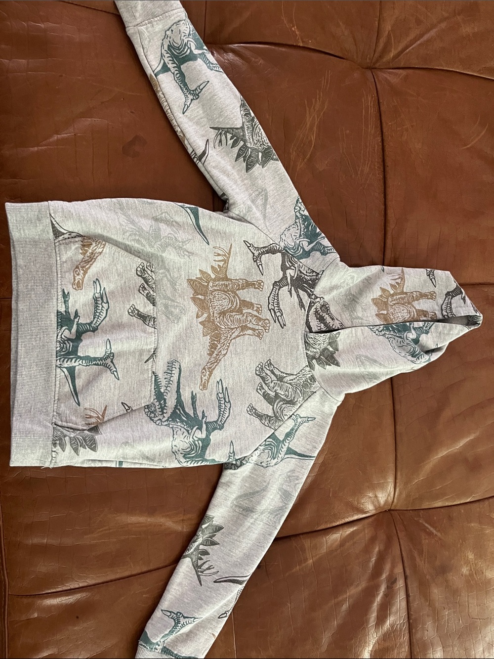 wonder nation Gray Hoodie with Blue and Brown Dinosaur Print